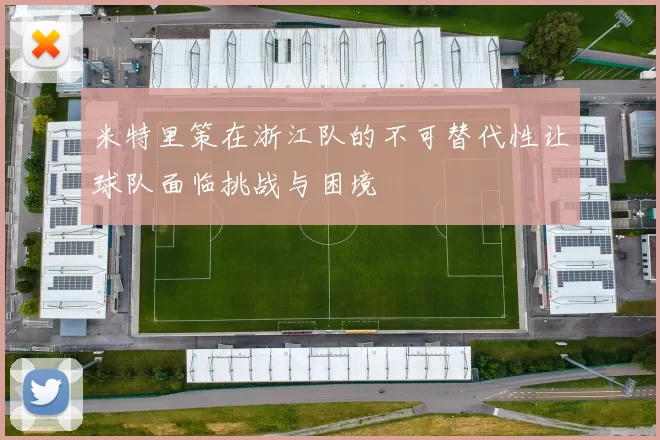 米特里策在浙江队的不可替代性让球队面临挑战与困境